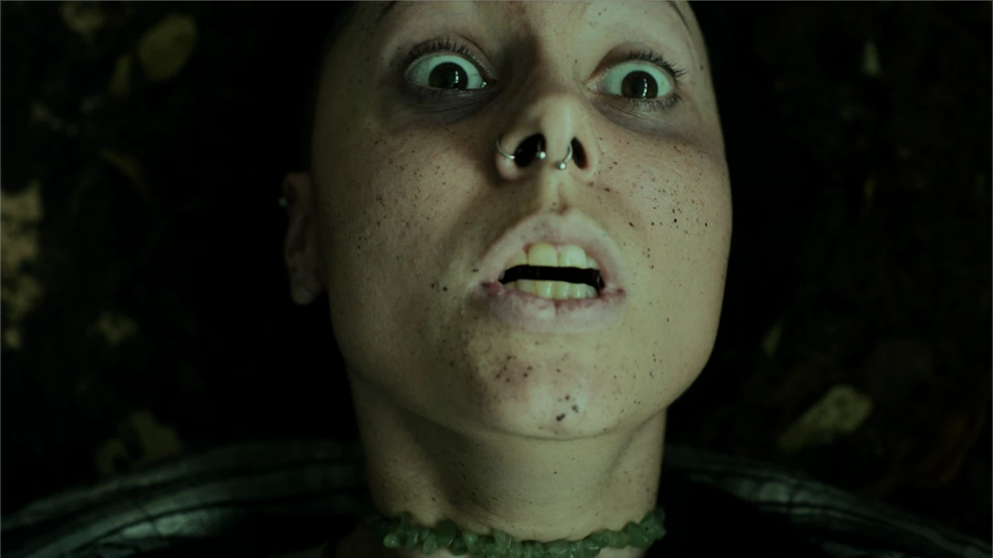 【美版】幽林深处 .Heart of the Forest 英语 【美版】幽林深处 .Heart of the Forest 英语