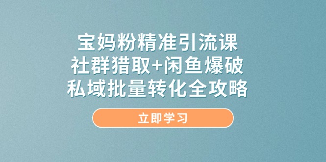 (14820期)宝妈粉精准引流课,社群猎取+闲鱼爆破,私域批量转化全攻略-润格副业网-每天分享热门副业赚钱项目