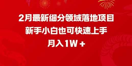 2月最新细分领域落地项目,新手小白也可快速上手,月入1W-润格副业网-每天分享热门副业赚钱项目