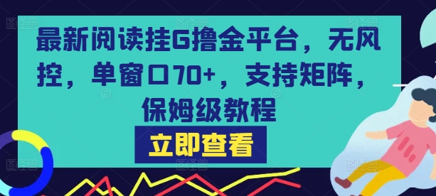 最新阅读挂G撸金平台，无风控，单窗口70+，支持矩阵，保姆级教程【揭秘】-润格副业网-每天分享热门副业赚钱项目