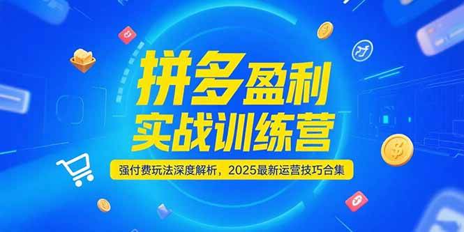 (15183期)拼多多盈利实战训练营,强付费玩法深度解析,2025最新运营技巧合集-润格副业网-每天分享热门副业赚钱项目