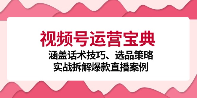 视频号运营宝典：涵盖话术技巧、选品策略、实战拆解爆款直播案例-润格副业网-每天分享热门副业赚钱项目
