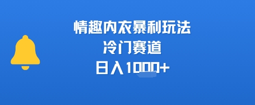 情趣内衣暴利玩法，冷门赛道，日入1k+-润格副业网-每天分享热门副业赚钱项目