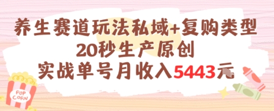 养生赛道玩法私域+复购类型，20秒生产原创实战单号月收入5k+-润格副业网-每天分享热门副业赚钱项目