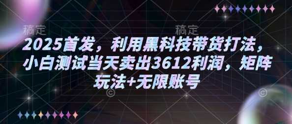 2025首发,利用黑科技带货打法,小白测试当天卖出3612利润,矩阵玩法+无限账号【揭秘】-润格副业网-每天分享热门副业赚钱项目