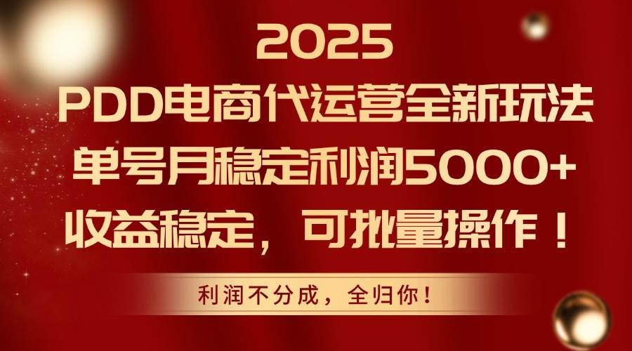 (14839期)2025PDD电商代运营全新玩法,单号月稳定利润5000+,收益稳定,可批量操作-润格副业网-每天分享热门副业赚钱项目