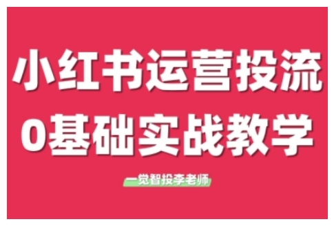 小红书运营投流,小红书广告投放从0到1的实战课,学完即可开始投放(更新)-润格副业网-每天分享热门副业赚钱项目