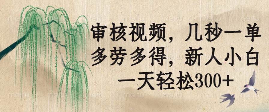 （14203期）审核视频，几秒一单，多劳多得，新人小白一天轻松300+-润格副业网-每天分享热门副业赚钱项目