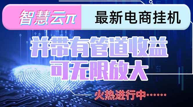 (15314期)智慧云π电脑挂机单机每天收益300—500+ 并带有团队管道收益 可无限放大-润格副业网-每天分享热门副业赚钱项目
