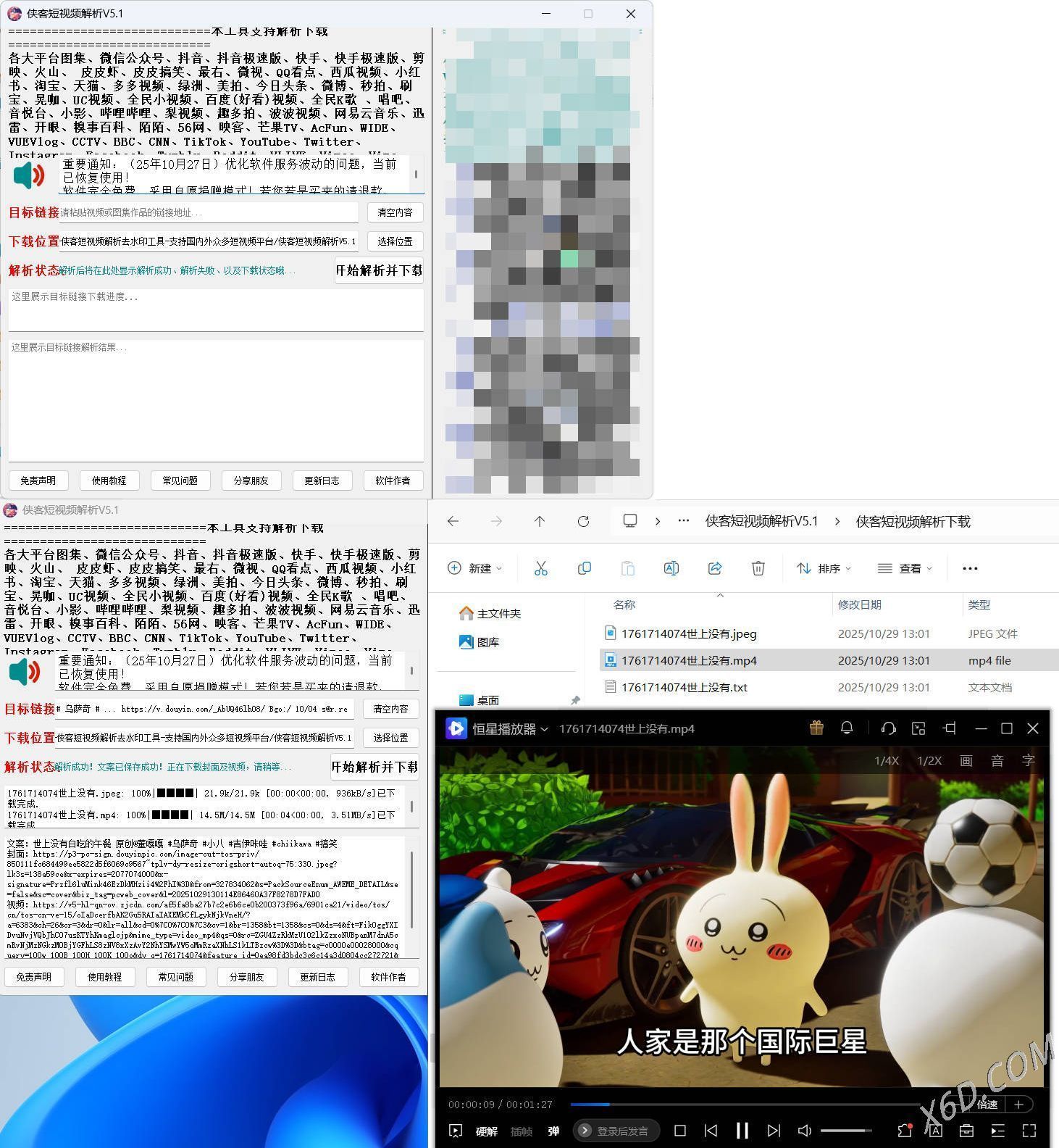 侠客多平台短视频解析去水印工具 V5.1-润格副业网-每天分享热门副业赚钱项目