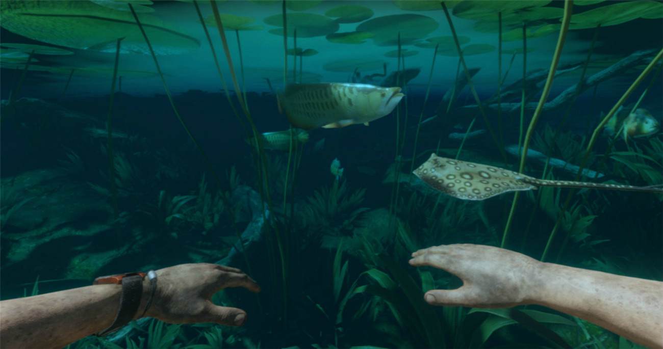 《绿色地狱》v2.9.0中文版-趣奇资源网-第7张图片