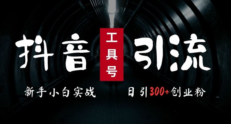 2024最新抖音工具号引流玩法,高效日引300+创业粉,当天变现5k,小白也可成为实战高手-润格副业网-每天分享热门副业赚钱项目