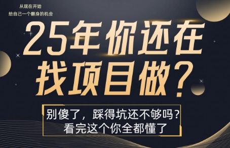 25年，你还在疯狂的找项目吗？别傻了，看完这个你都懂了【揭秘】-润格副业网-每天分享热门副业赚钱项目