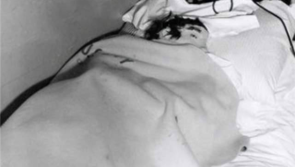 标题优化技巧大揭秘:抓住搜索者眼球-润格副业网-每天分享热门副业赚钱项目