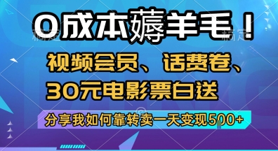 0成本薅羊毛!视频会员、话费卷、30元电影票白送，分享我如何靠转卖一天变现5张+【揭秘】-润格副业网-每天分享热门副业赚钱项目