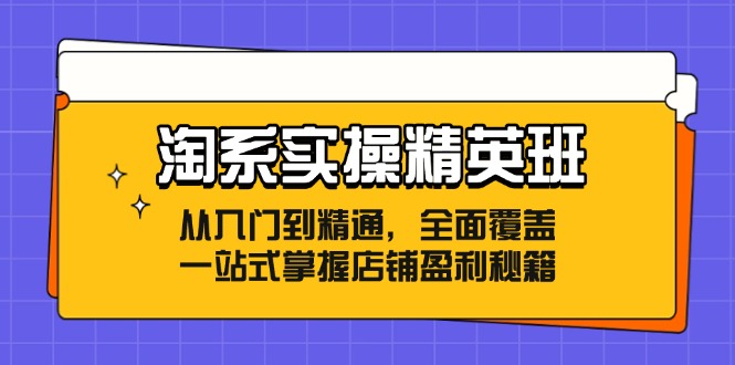 (12276期)淘系实操精英班:从入门到精通,全面覆盖,一站式掌握店铺盈利秘籍-润格副业网-每天分享热门副业赚钱项目