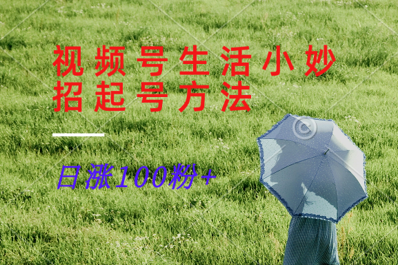 视频号生活小妙招分享赛道， 起号涨粉新方法，日涨100粉-润格副业网-每天分享热门副业赚钱项目