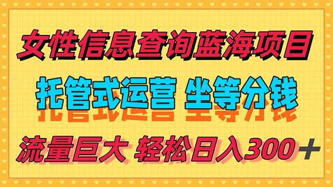 (15216期)稳定日入300+,小众信息查询蓝海项目,全程懒人式托管,解放你的时间-润格副业网-每天分享热门副业赚钱项目