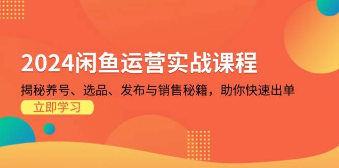 （13290期）2024闲鱼运营实战课程：揭秘养号、选品、发布与销售秘籍，助你快速出单-润格副业网-每天分享热门副业赚钱项目