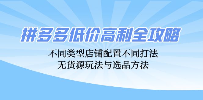 (12897期)拼多多低价高利全攻略:不同类型店铺配置不同打法,无货源玩法与选品方法-润格副业网-每天分享热门副业赚钱项目
