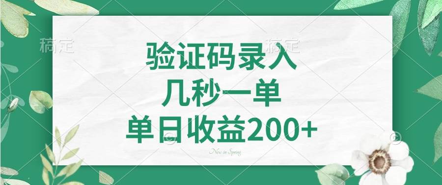 (14221期)验证码录入,几秒一单,单日收益200+-润格副业网-每天分享热门副业赚钱项目