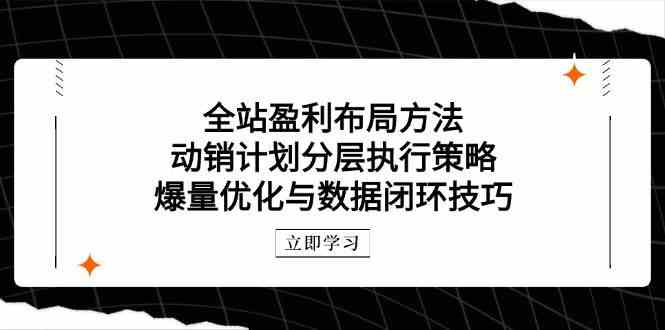 全站盈利布局方法：动销计划分层执行策略，爆量优化与数据闭环技巧-润格副业网-每天分享热门副业赚钱项目