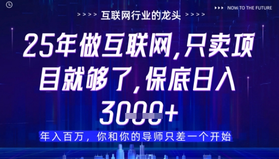 什么！25年你还在找项目做？风口早就变了，卖项目才是稳挣不赔【揭秘】-润格副业网-每天分享热门副业赚钱项目