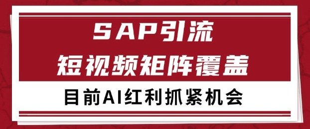 小红书某音sap赛道引流获客 自热矩阵日引200+【揭秘】-润格副业网-每天分享热门副业赚钱项目