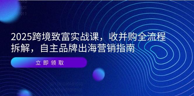 （14975期）2025跨境致富实战课，收并购全流程拆解，自主品牌出海营销指南-润格副业网-每天分享热门副业赚钱项目