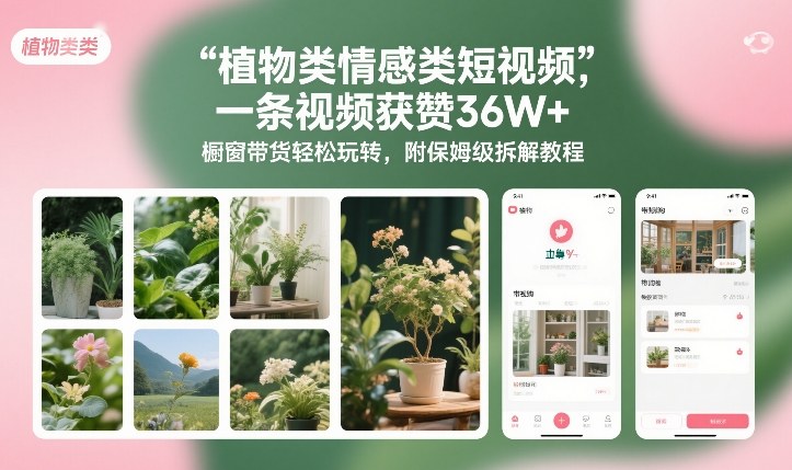 植物类情感类短视频，一条视频获赞36W+，橱窗带货轻松玩转，附保姆级拆解教程-润格副业网-每天分享热门副业赚钱项目