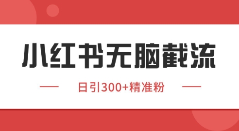 小红书截流同行客源，独家野路子获客玩法 日引200+暴力获客【揭秘】-润格副业网-每天分享热门副业赚钱项目