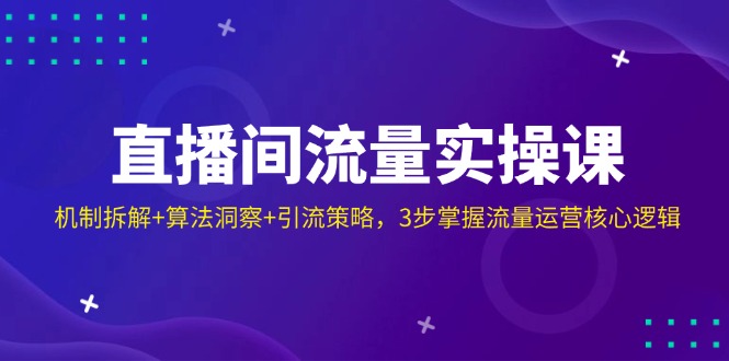 （14122期）直播间流量实操课：机制拆解+算法洞察+引流策略，3步掌握流量运营核心逻辑-润格副业网-每天分享热门副业赚钱项目