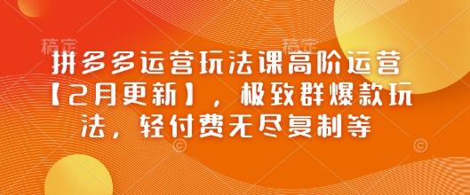 拼多多运营玩法课高阶运营【2月更新】,极致群爆款玩法,轻付费无尽复制等-润格副业网-每天分享热门副业赚钱项目