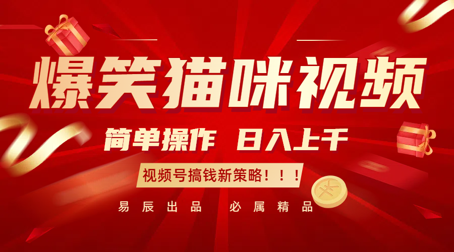 爆笑猫咪视频：简单操作，日入过千，视频号搞钱新策略！-润格副业网-每天分享热门副业赚钱项目