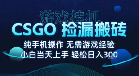 8月最新游戏搬砖,CSGO纯挂G,不需要玩游戏,实现真挂G,月入1W+【揭秘】-润格副业网-每天分享热门副业赚钱项目