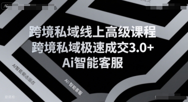 跨境私域线上高级课程，跨境私域极速成交3.0+Ai智能客服-润格副业网-每天分享热门副业赚钱项目