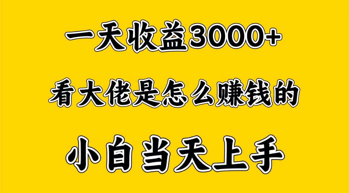 一天赚3000多，大佬是这样赚到钱的，小白当天上手，穷人翻身项目-润格副业网-每天分享热门副业赚钱项目