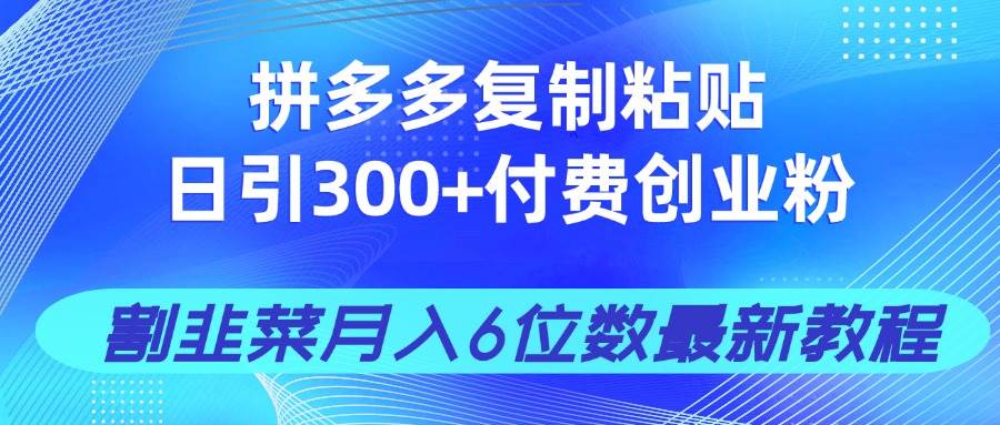 (14232期)拼多多复制粘贴日引300+付费创业粉,割韭菜月入6位数最新教程!-润格副业网-每天分享热门副业赚钱项目