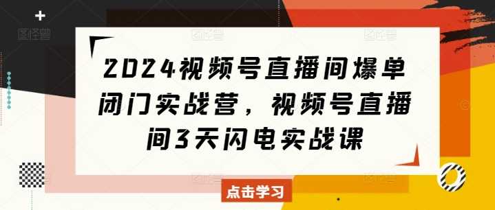 2024视频号直播间爆单闭门实战营,视频号直播间3天闪电实战课-润格副业网-每天分享热门副业赚钱项目