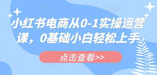 小红书电商从0-1实操运营课,0基础小白轻松上手-润格副业网-每天分享热门副业赚钱项目