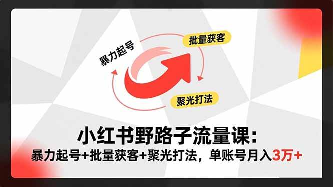 （16513期）小红书野路子流量课：暴力起号+批量获客+聚光打法，单账号月入3万+-润格副业网-每天分享热门副业赚钱项目