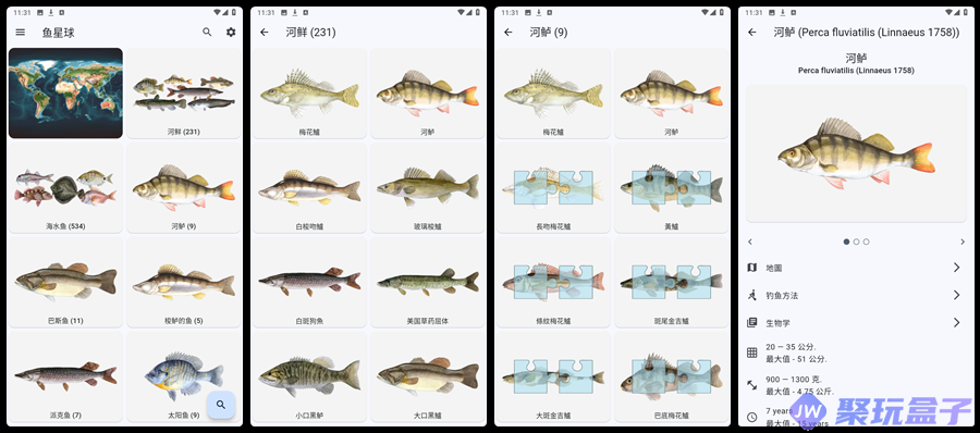 鱼星球_9.29.83 |全球鱼类详解、钓鱼指南-润格副业网-每天分享热门副业赚钱项目