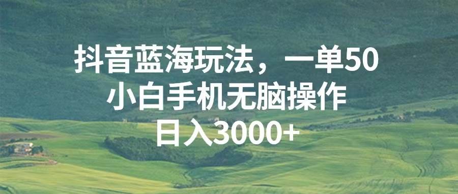 (13353期)抖音蓝海玩法,一单50,小白手机无脑操作,日入3000+-润格副业网-每天分享热门副业赚钱项目