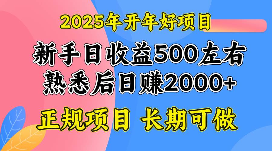 (14076期)2025开年好项目,单号日收益2000左右-润格副业网-每天分享热门副业赚钱项目