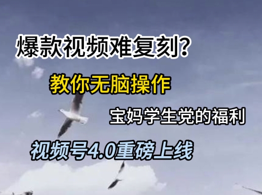 视频号4.0重磅上线,爆款视频难复刻?教你无脑操作宝妈学生党的福利【揭秘】-润格副业网-每天分享热门副业赚钱项目