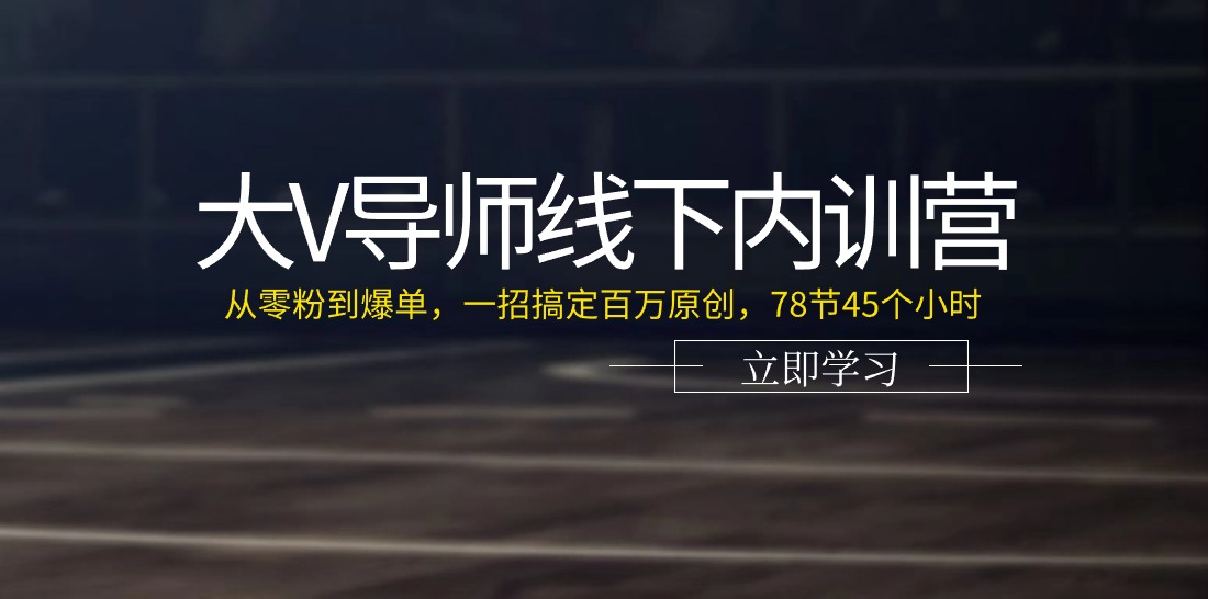（11261期）大V导师线下内训营：从零粉到爆单，一招搞定百万原创，78节45个小时-润格副业网-每天分享热门副业赚钱项目