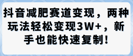 抖音减肥赛道变现，两种玩法轻松变现3W+，新手也能快速复制-润格副业网-每天分享热门副业赚钱项目