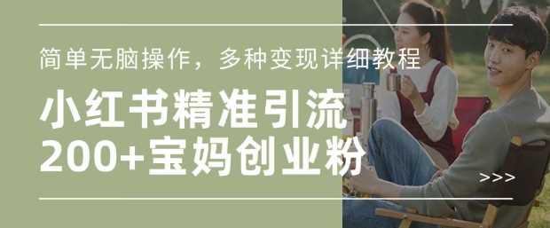 小红书混剪日引200+宝妈创业粉,简单无脑操作,多种变现详细教程-润格副业网-每天分享热门副业赚钱项目