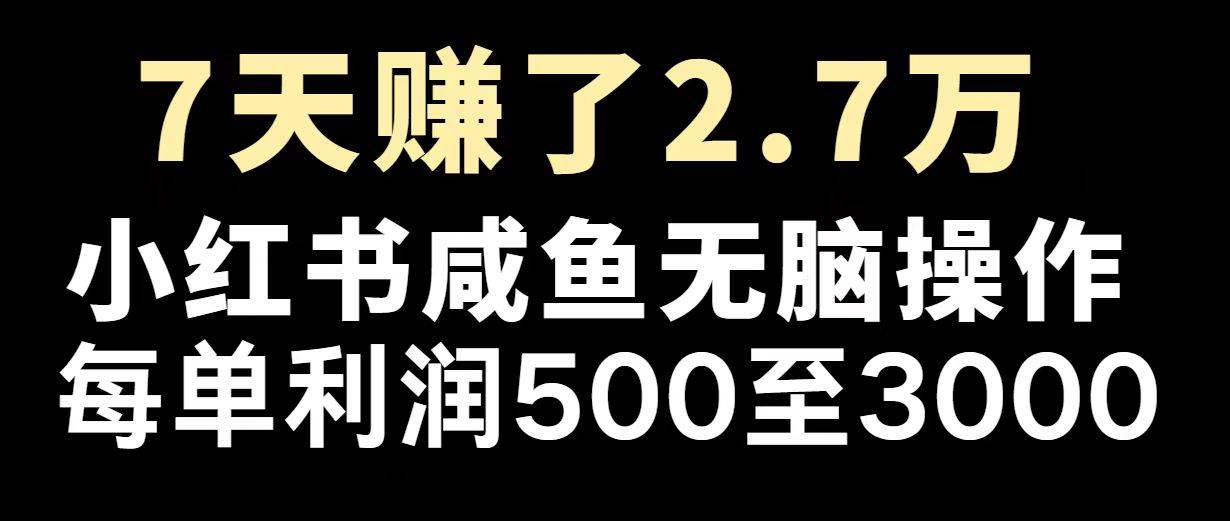 (14183期)最赚钱项目之一,2025爆火,逆风翻盘!-润格副业网-每天分享热门副业赚钱项目