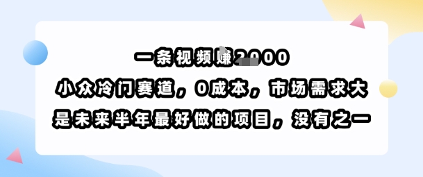 一条视频挣1k，小众冷门赛道，0成本，市场需求大，是未来半年最好做的项目，没有之一-润格副业网-每天分享热门副业赚钱项目